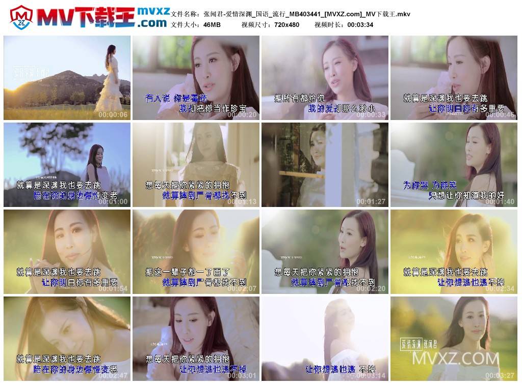 张闻君-爱情深渊_国语_流行_MB403441